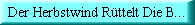 Der Herbstwind r�ttelt die B�ume